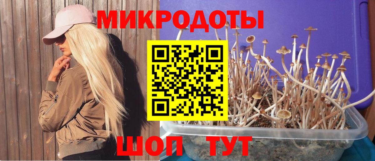 Домодедово  Галлюциногенные грибы Magic Shrooms  Псилоцибиновые грибы прущие грибы  Вход с VPN 